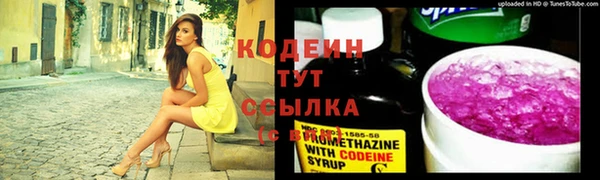 индика Володарск