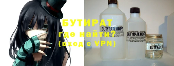 индика Володарск