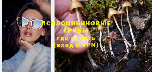 индика Володарск