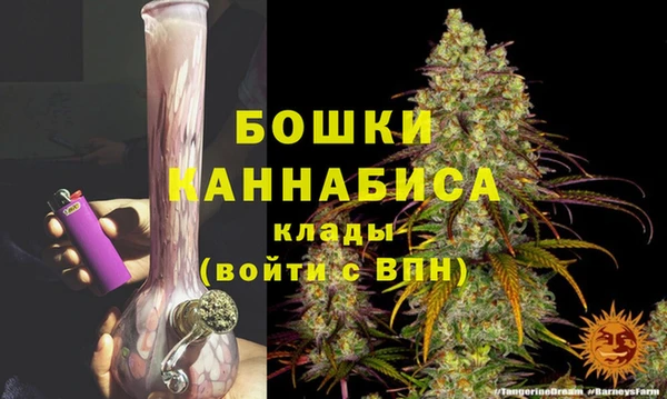 индика Володарск