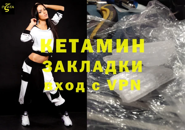 индика Володарск