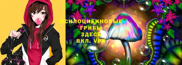 индика Володарск