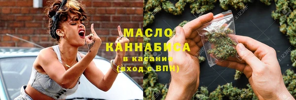 индика Володарск