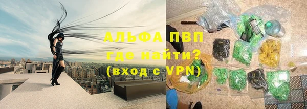 индика Володарск