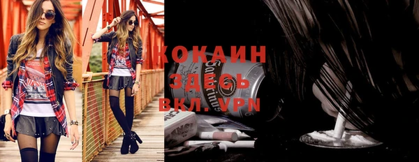 шишки Волоколамск