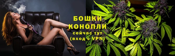 индика Володарск